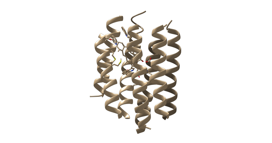 Figure 2 | Bacteriorhodopsin single monomer with retinal molecule between 7 vertical alpha helixes (PDB ID: 1BRD)